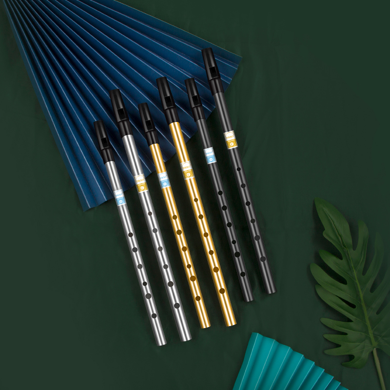 Flauta con silbato irlandés pa - Penny Whistle D reseña y precio