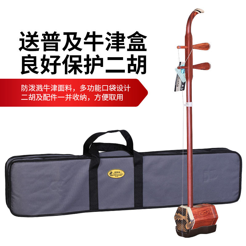 Dunhuang-instrumento Musical f - Musical Instrument Brands reseña y precio