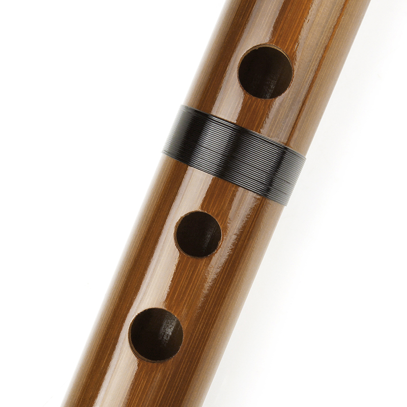 Flauta marrón con llave G, ins - Musical Instrument Indian reseña y precio