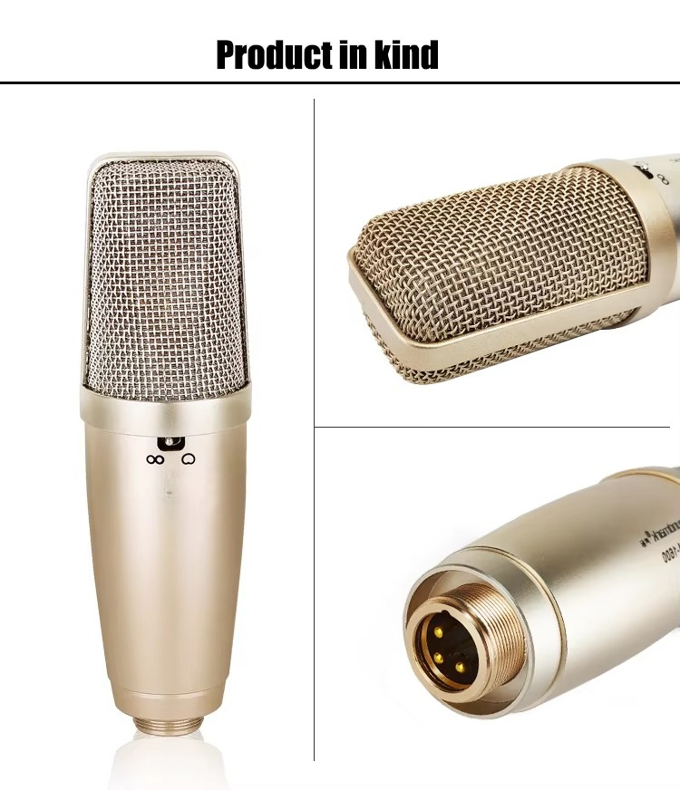 Nuevo micrófono para niños con - Musical Instrument Brands reseña y precio