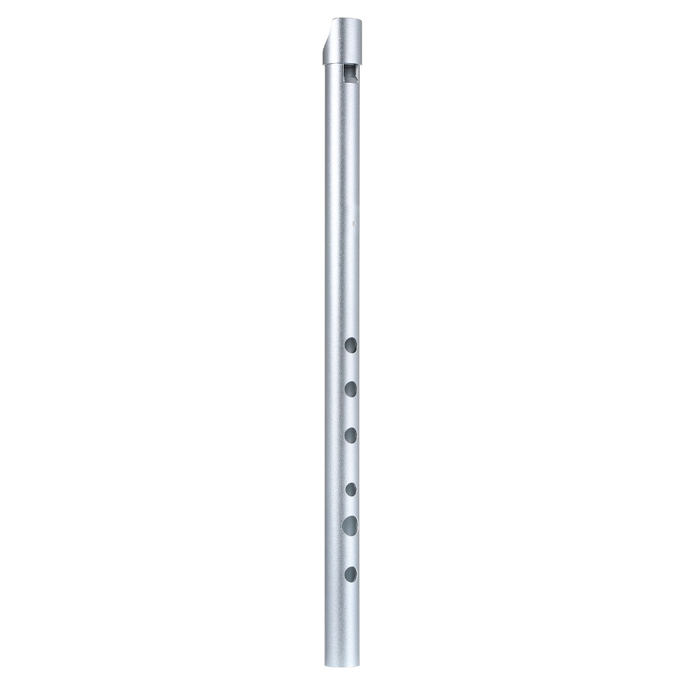 Flauta Irlandesa Premium en to - Penny Whistle D reseña y precio