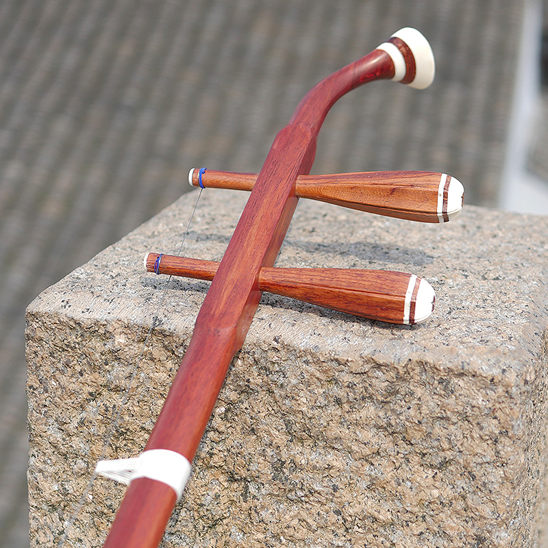 Profesional Dunhuang marca 06A - Musical Instrument Brands reseña y precio